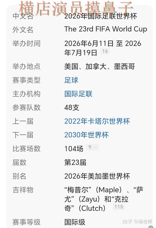 揭秘世界杯买球网站：从官网直达到使用全流程解析 - World Cup 2026