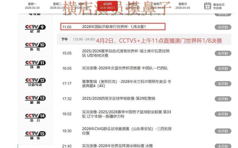 世界杯直播期间热门世界杯买球平台整理与访问方式分析