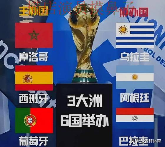 新手必看：世界杯投注平台推荐数据分析详解 + World Cup 2026